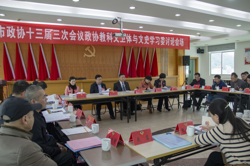 李绍美参加市政协十三届三次会议分组讨论会