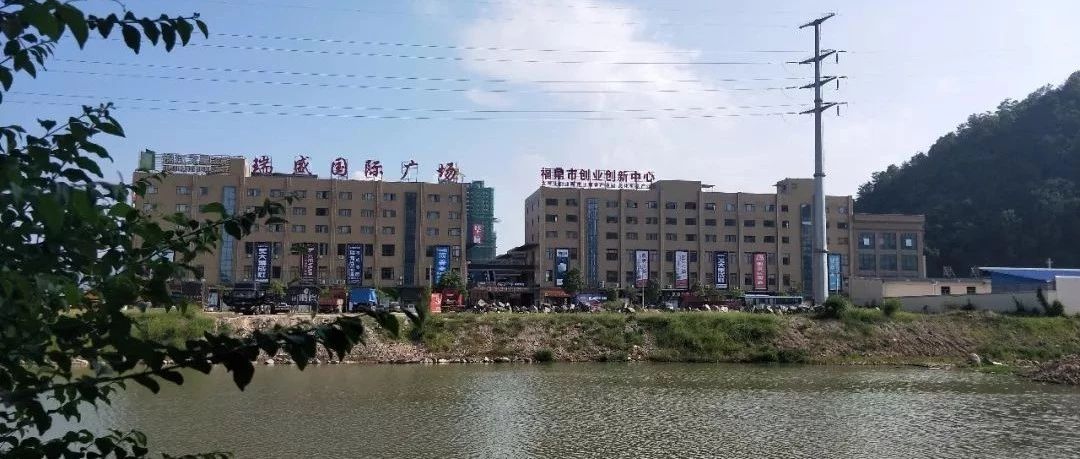 就业何须雷同？且看那些年打破“铁饭碗”的福鼎弄潮儿