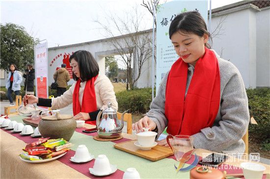 点头镇2019“白茶小镇、魅力点头” 摄影大赛启动