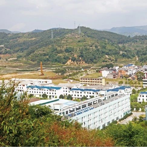 福鼎这三个村庄拟被命名为“福建省森林村庄”啦！