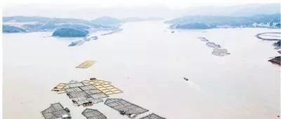 棒！人民日报头版点赞福鼎环保渔排生态养殖