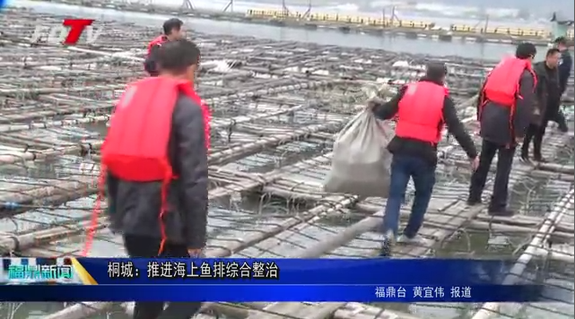 桐城：推进海上鱼排综合整治