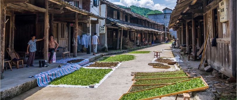 这周末福鼎人档期好忙，不仅有桃花可赏，还要去管阳吃茶