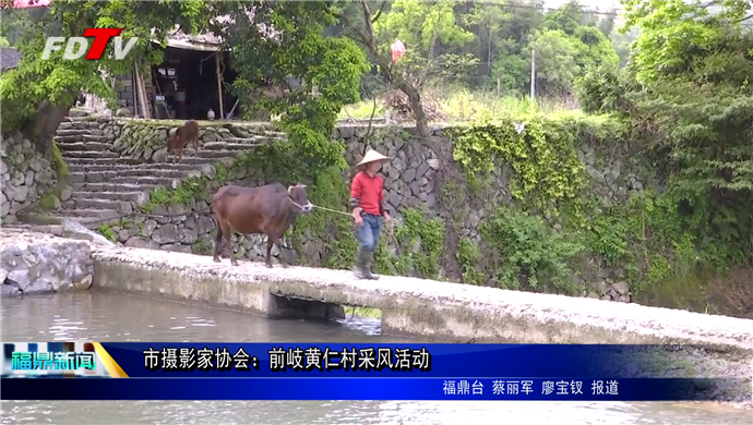 市摄影家协会：前岐黄仁村采风活动