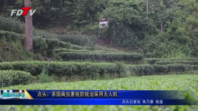 点头：茶园病虫害统防统治采用无人机