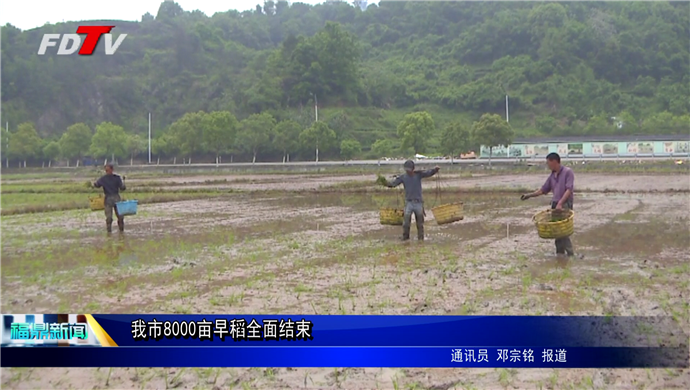 我市8000亩早稻全面结束