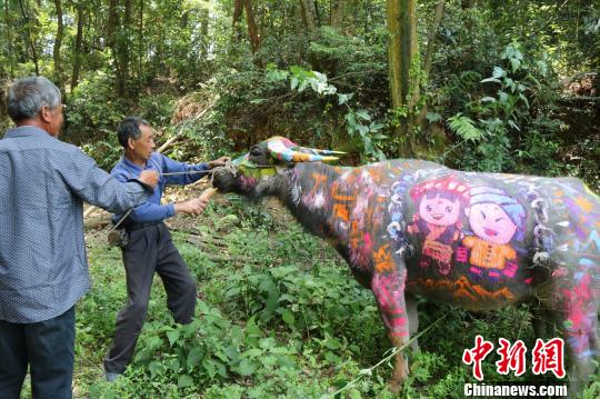 福建畲乡“四月八”：唱畲歌吃牛角粽感受民族风情