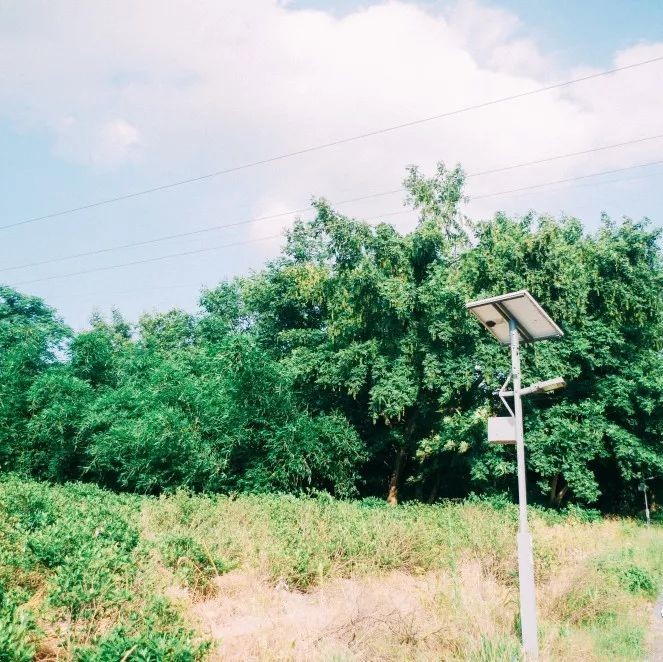 坪上之园，在水之北，推荐你一处离城不远的小清新风景