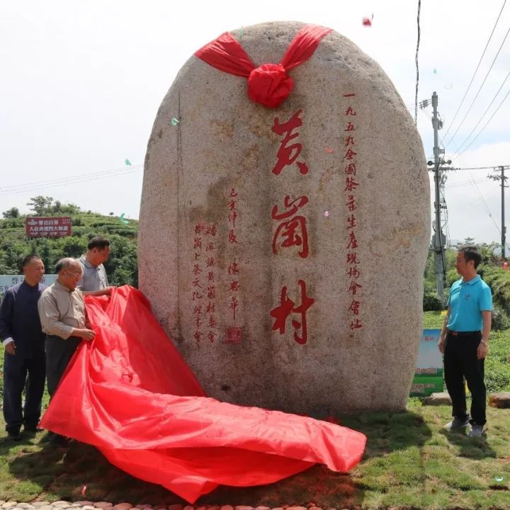 1959~2019，全国茶叶生产现场会在福鼎召开60周年了！