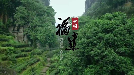 福建：擦亮生态底色 成就绿色福地