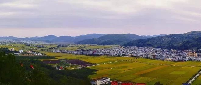 福鼎田园牧歌风景正好