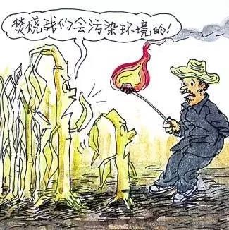 自行焚烧垃圾、秸秆危害这么多……