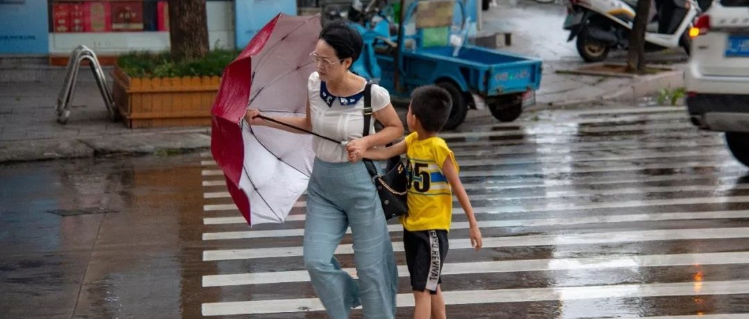 “利奇马”更近了！商业场所停止营业、部分列车车次停运，还有……