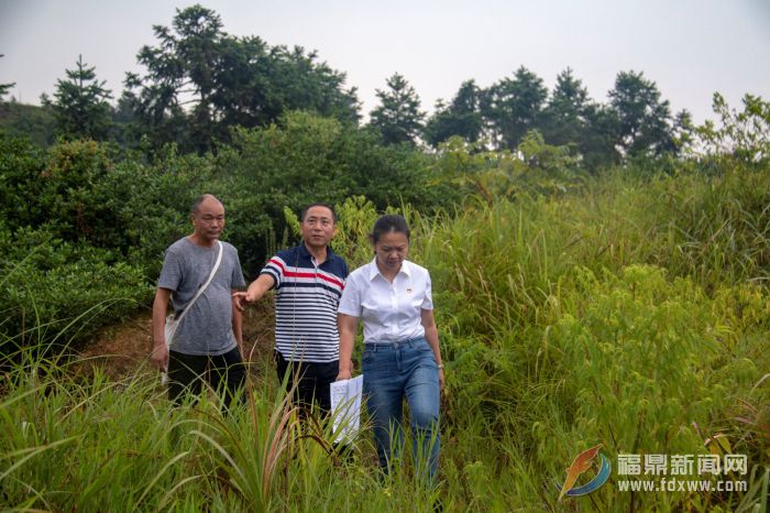 贯岭：因地制宜 严厉打击破坏森林资源行为