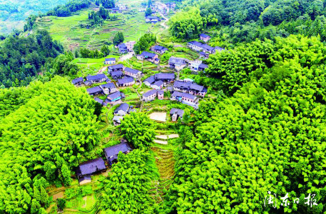 柘荣县黄柏乡蒲洋南山村开发红色旅游助推乡村振兴