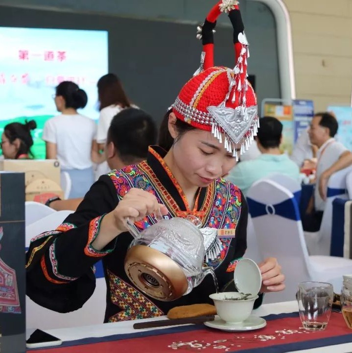 品鉴会，让厦门人零距离感受福鼎白茶的魅力