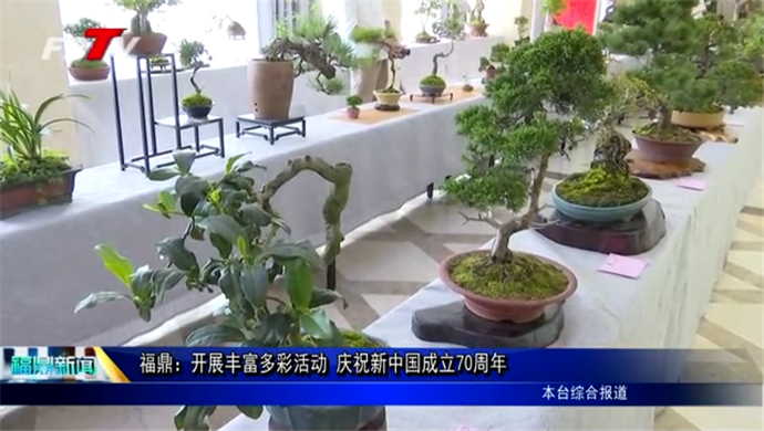 福鼎：开展丰富多彩活动 庆祝新中国成立70周年