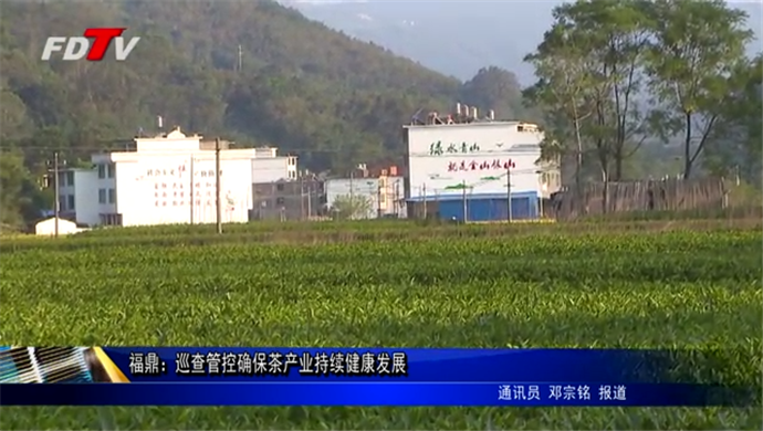 福鼎：巡查管控确保茶产业持续健康发展
