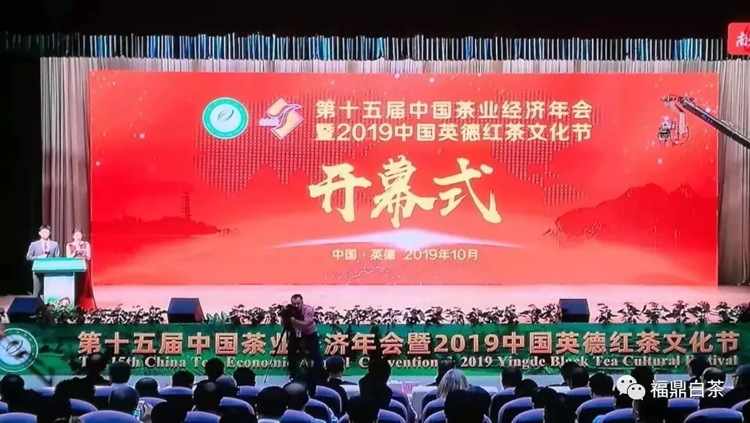 福鼎位列2019中国茶业百强县第八位、荣获2019中国十大生态产茶县称号