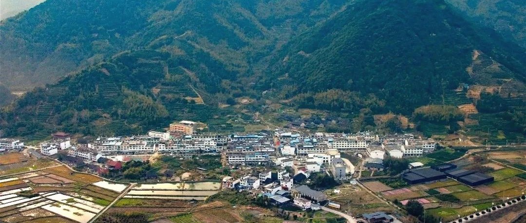 赤溪双创动力更强劲，山水之间逐梦“绿富美”