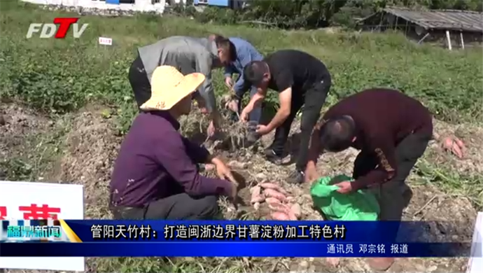 管阳天竹村：打造闽浙边界甘薯淀粉加工特色村