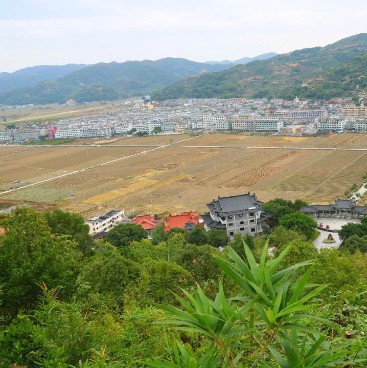 以文化人，以文兴镇，店下镇绘就乡村振兴新画卷