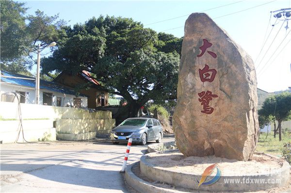 沙埕：推行水岸共治，再现洁序净美