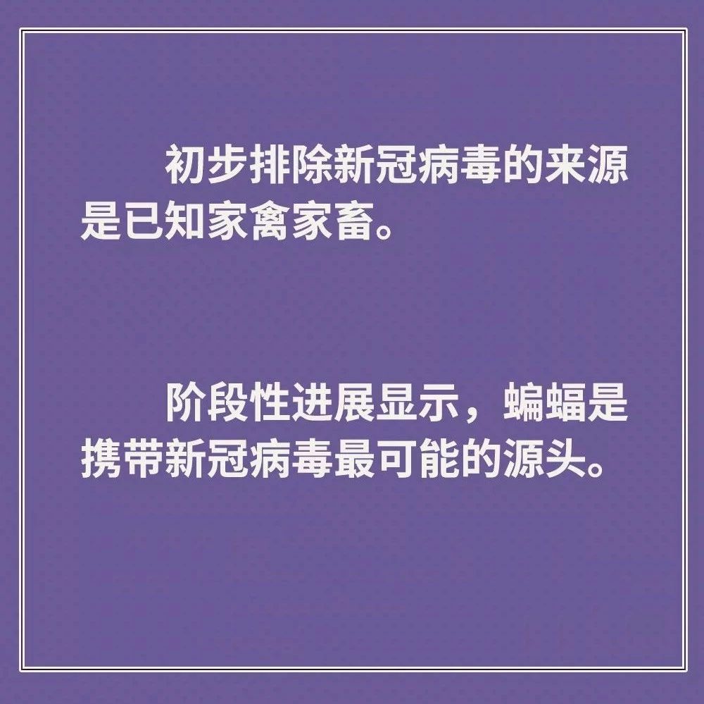 鸡鸭会传播病毒？疫苗研究得怎样？抗疫最新信息，你要知道