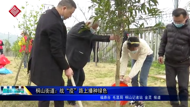 桐山街道：战“疫”路上播种绿色