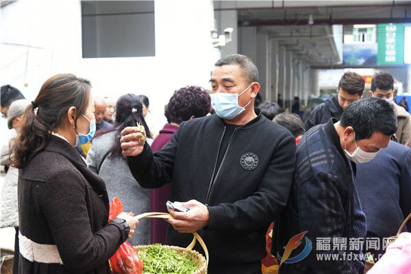 闽浙边界地区最大的白茶交易市场开市