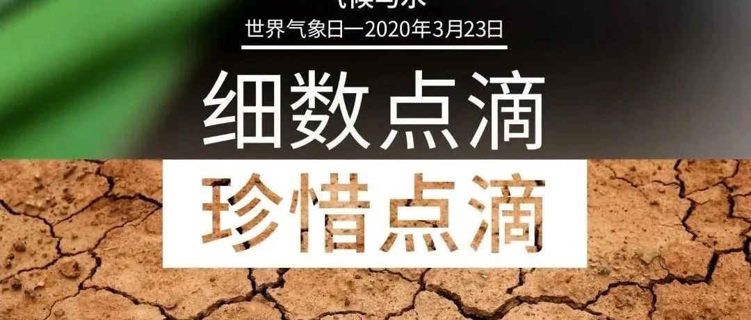 世界气象日，教你不出门，就能领略百年气象台和科普基地的风采