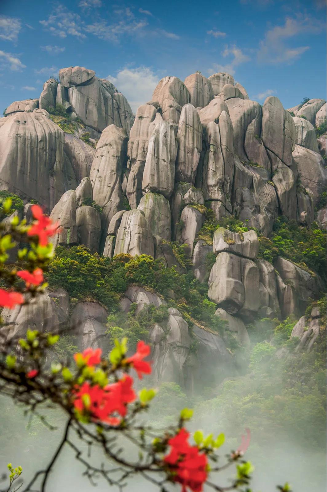 太姥山、嵛山、赤溪景区3月21日起恢复开园，全国游客享受门票半价！