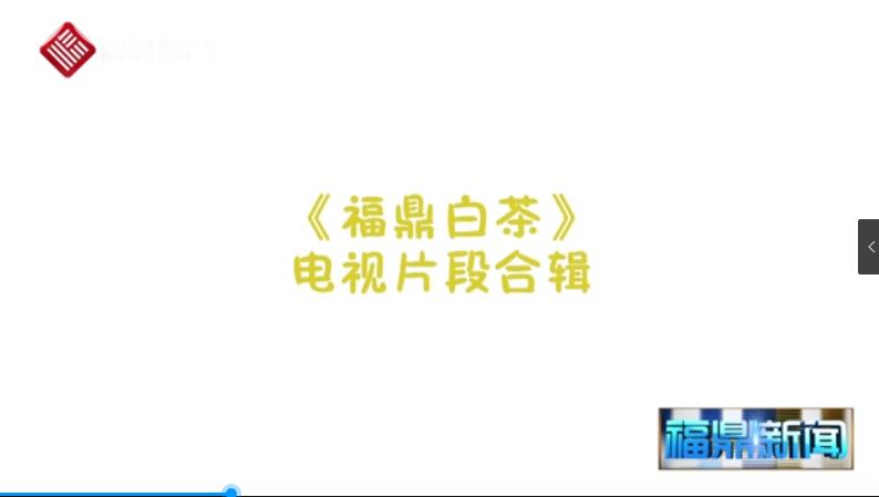 【短视频】《福鼎白茶这么好！他们都这么说…》