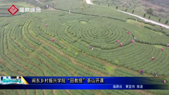 闽东乡村振兴学院“田教授”茶山开课