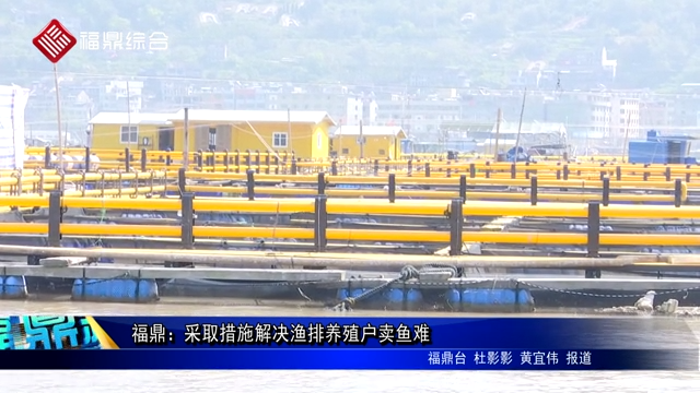 福鼎：采取措施解决渔排养殖户卖鱼难