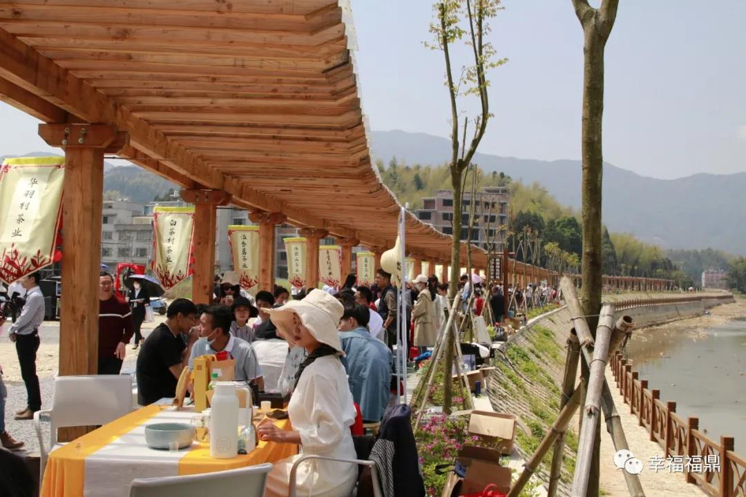 管阳敬茶节带您探寻福鼎白茶的“高山云雾味道”