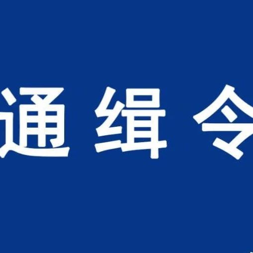 A级通缉令！看到这8人，马上报警！