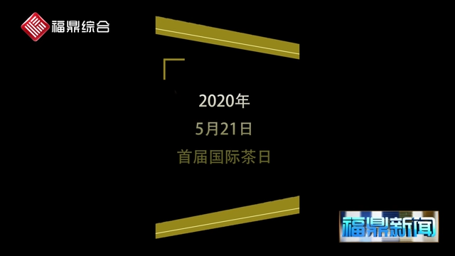 《福鼎白茶国际茶日公益形象大使推介白茶》