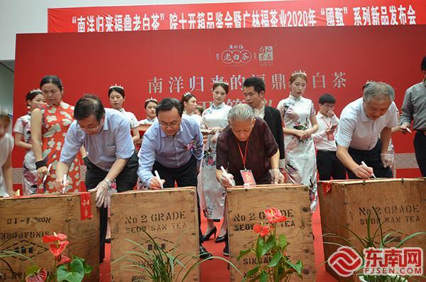 中国两位茶学院士齐聚福鼎 揭开“南洋归来的福鼎老白茶”面纱