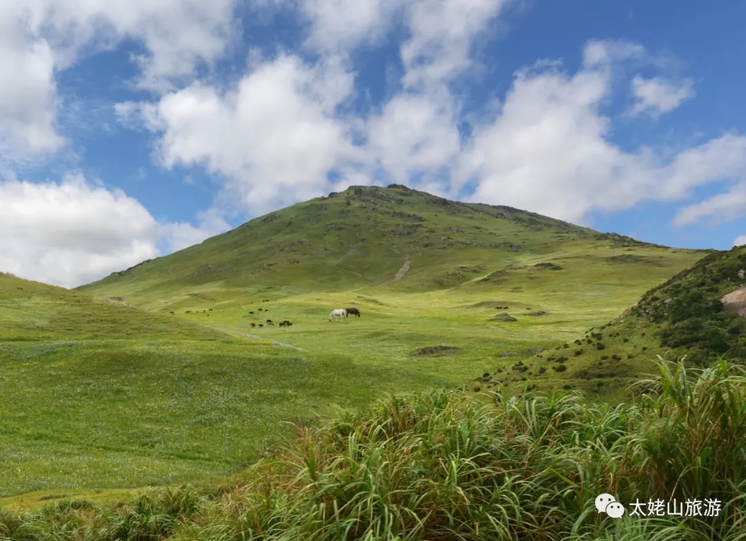 夏天来啦，我想和你一起去嵛山岛吹吹风