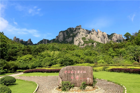 太姥山•白茶山 | 唐颐：福鼎白茶与抗疫故事