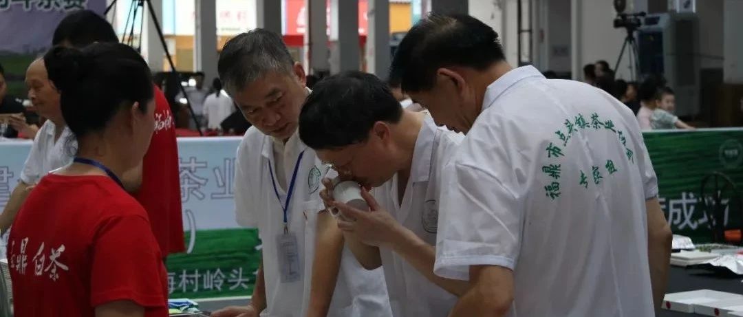 看直播，拿好礼！这周末，点头有场斗茶赛等你来“观战”