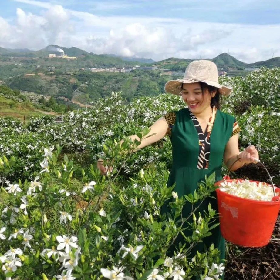 “闽浙边红色先锋贷”助力乡村产业振兴