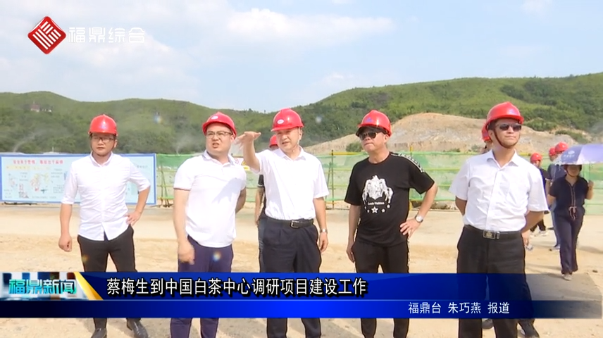 蔡梅生到中国白茶中心调研项目建设工作