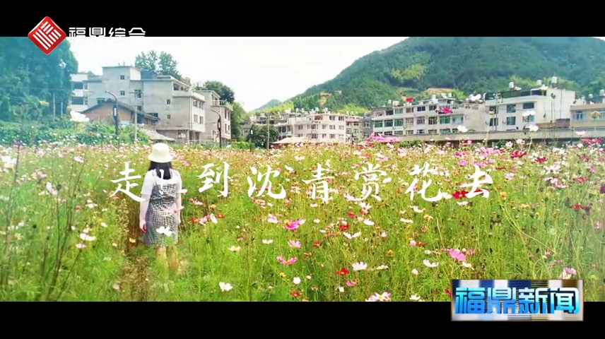 走!到沈青赏花去