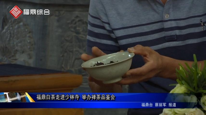 福鼎白茶走进少林寺 举办禅茶品鉴会