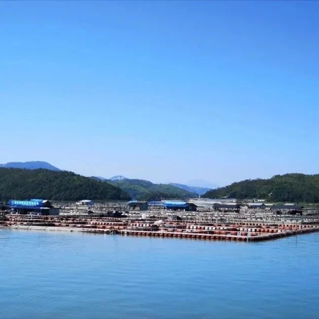闽威打造“智慧渔业”，促产业腾飞
