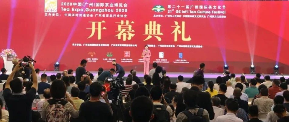 2020广州茶博会，福鼎白茶集体特装上阵展新姿