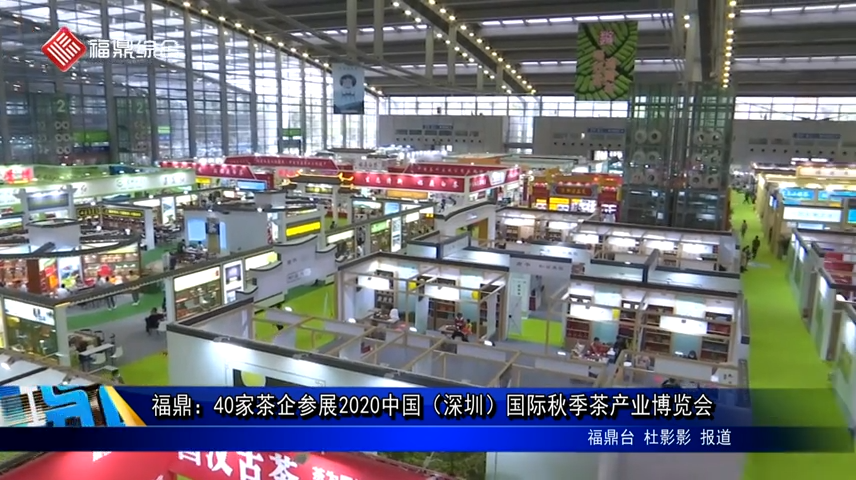 福鼎：40家茶企参展2020中国（深圳）国际秋季茶产业博览会