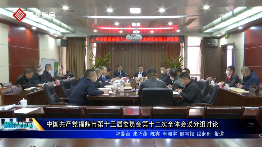 中国共产党福鼎市第十三届委员会第十二次全体会议分组讨论